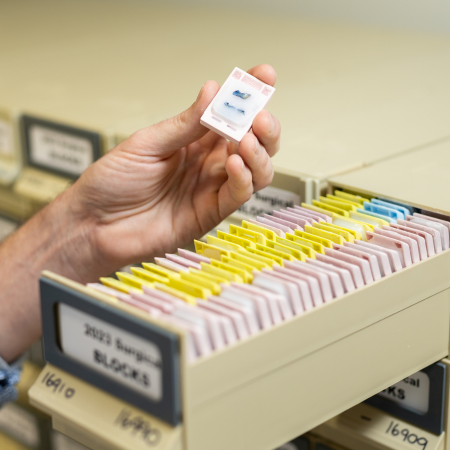 Biobanking